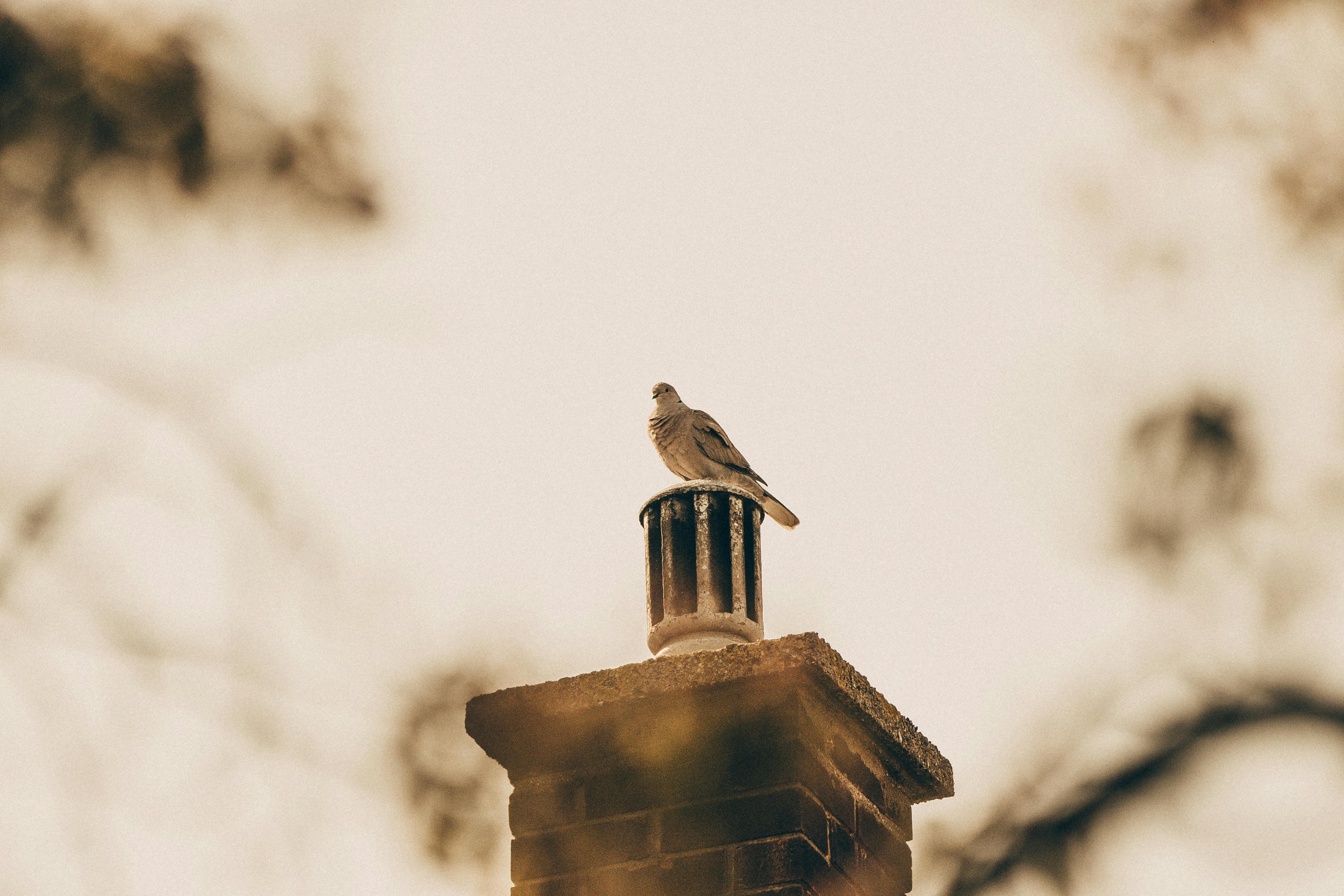 Expert Chimney Cap Installation in Chicago Ridge, Illinois